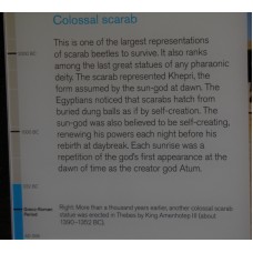 Description, Colossal scarab